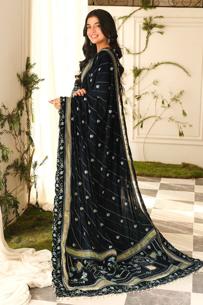 Raeesa Premium | Sheen Luxury Velvet | Zeve -  Raeesa Premium Ladies Clothes - Original Designer Dress - House of Maryam