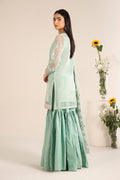 Maira B | Ready to Wear | DW-EF25-17 -  Maria B Luxury Pret -  House of Maryam