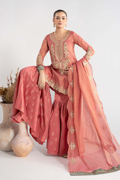 Maria B | Luxury Winter Pret 25 | DW-W25-01-Pink