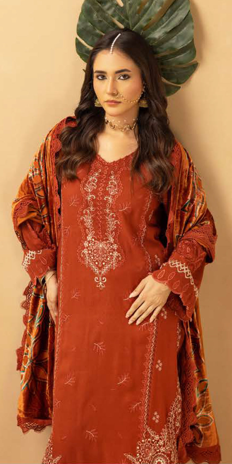 Riaz Arts | Dastaan Winter 25 | DS-20 -  Riaz Arts Ladies Clothes - Original Designer Dress - House of Maryam