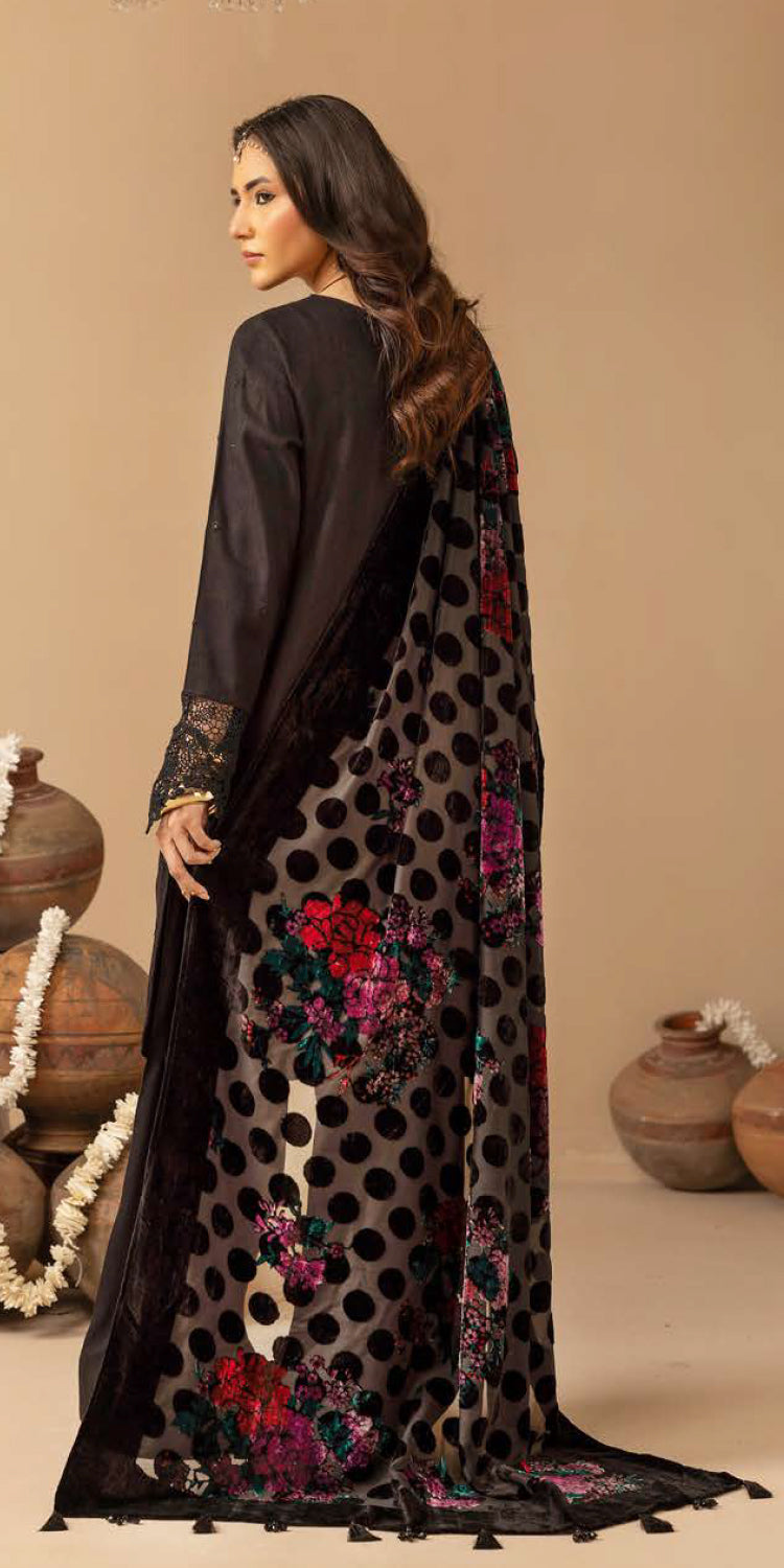 Riaz Arts | Dastaan Winter 25 | DS-19 -  Riaz Arts Ladies Clothes - Original Designer Dress - House of Maryam