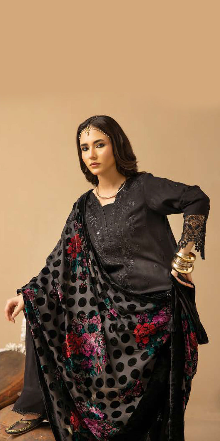 Riaz Arts | Dastaan Winter 25 | DS-19 -  Riaz Arts Ladies Clothes - Original Designer Dress - House of Maryam