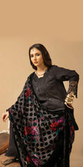 Riaz Arts | Dastaan Winter 25 | DS-19 -  Riaz Arts Ladies Clothes - Original Designer Dress - House of Maryam