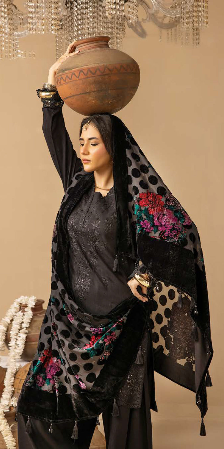 Riaz Arts | Dastaan Winter 25 | DS-19 -  Riaz Arts Ladies Clothes - Original Designer Dress - House of Maryam