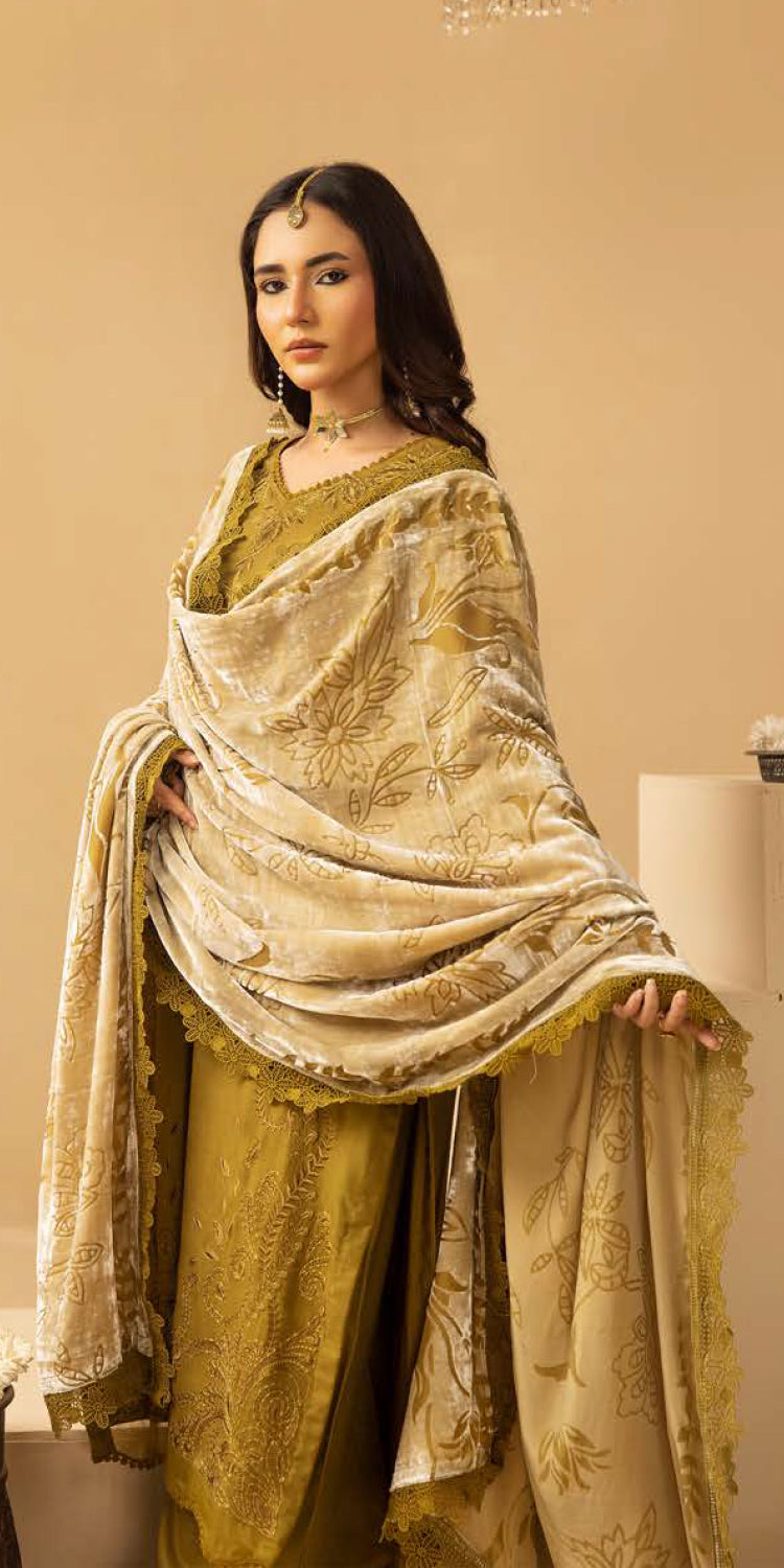 Riaz Arts | Dastaan Winter 25 | DS-18 -  Riaz Arts Ladies Clothes - Original Designer Dress - House of Maryam