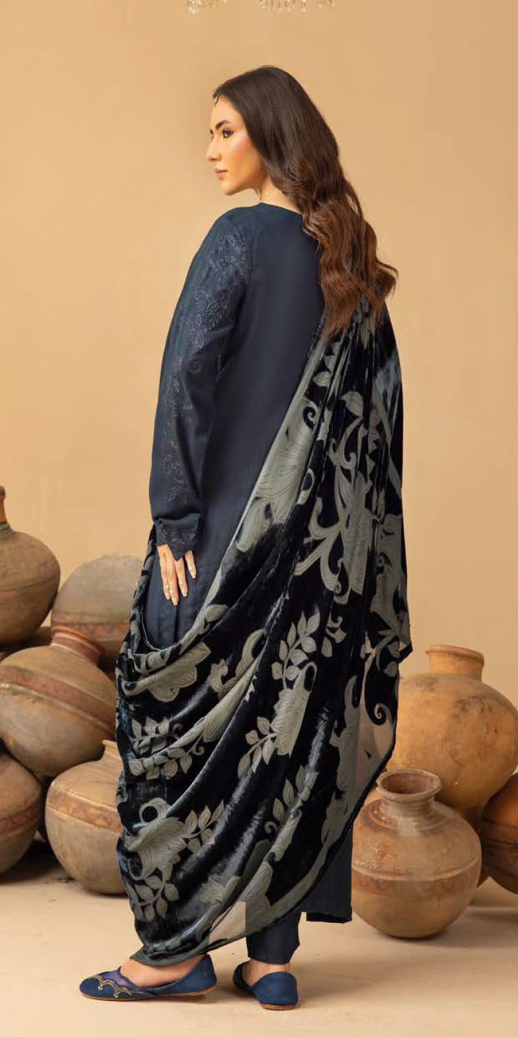 Riaz Arts | Dastaan Winter 25 | DS-22 -  Riaz Arts Ladies Clothes - Original Designer Dress - House of Maryam