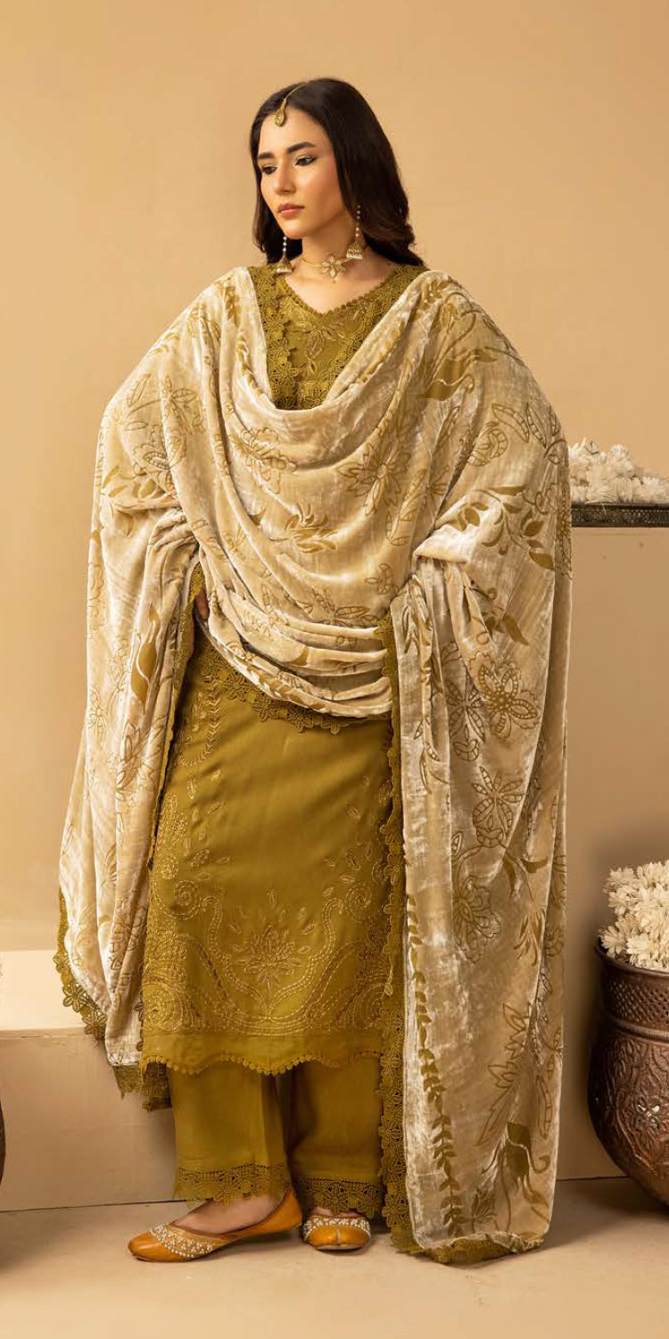 Riaz Arts | Dastaan Winter 25 | DS-18 -  Riaz Arts Ladies Clothes - Original Designer Dress - House of Maryam