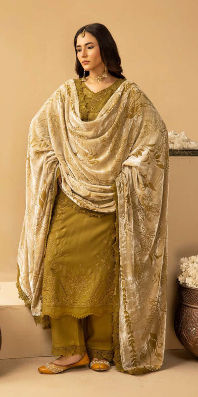 Riaz Arts | Dastaan Winter 25 | DS-18 -  Riaz Arts Ladies Clothes - Original Designer Dress - House of Maryam