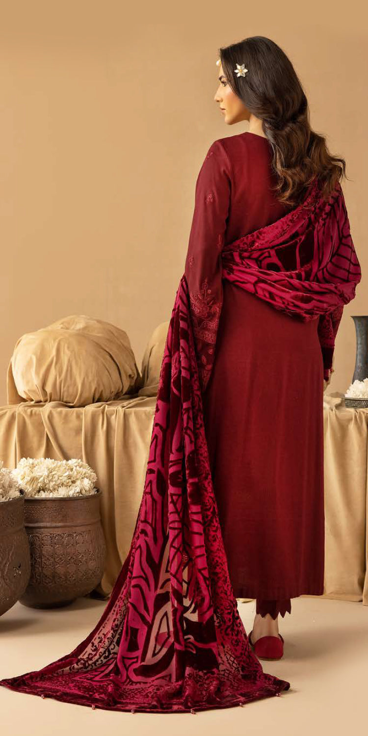 Riaz Arts | Dastaan Winter 25 | DS-17 -  Riaz Arts Ladies Clothes - Original Designer Dress - House of Maryam