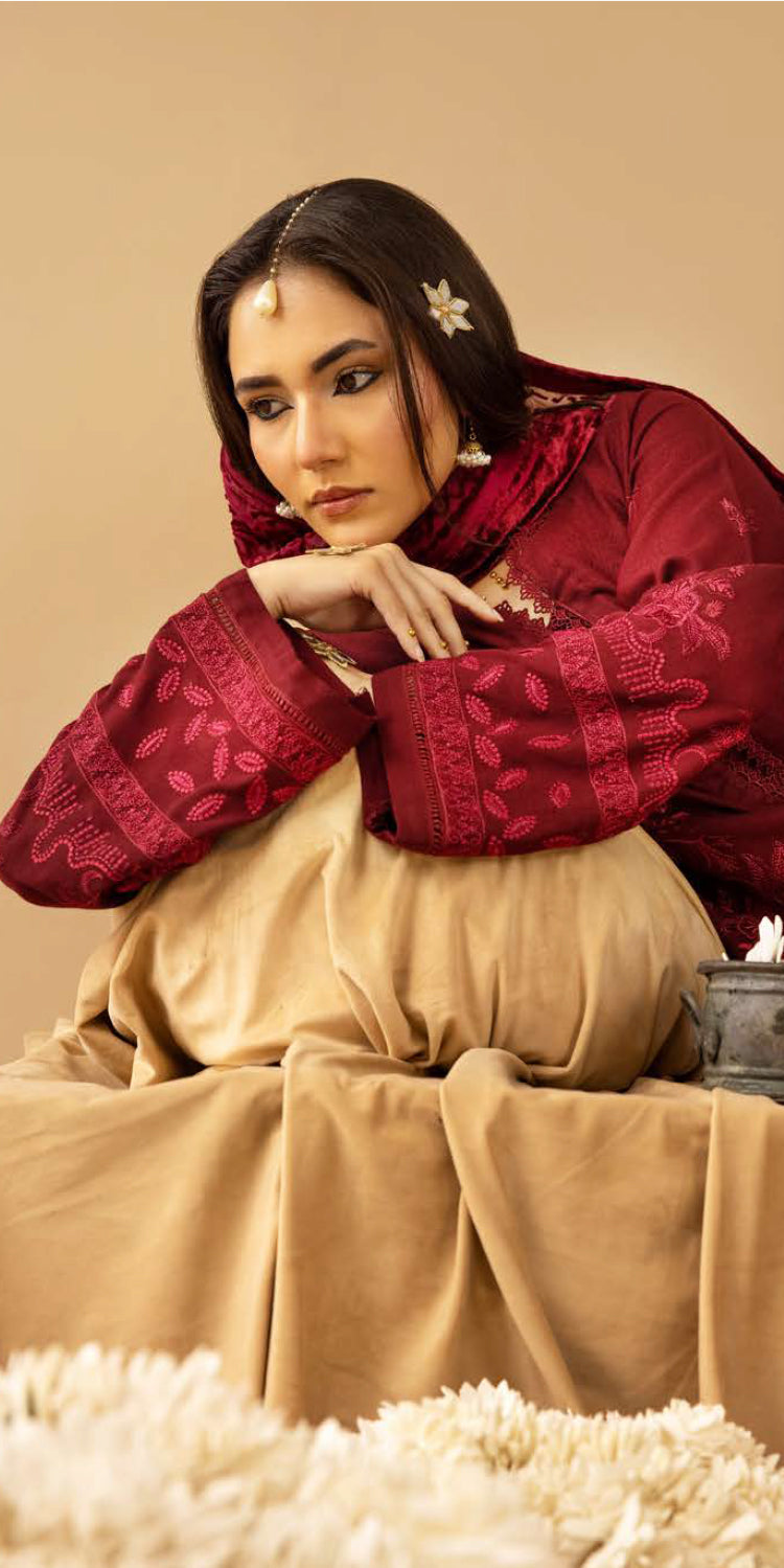 Riaz Arts | Dastaan Winter 25 | DS-17 -  Riaz Arts Ladies Clothes - Original Designer Dress - House of Maryam