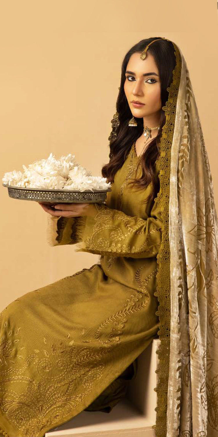 Riaz Arts | Dastaan Winter 25 | DS-18 -  Riaz Arts Ladies Clothes - Original Designer Dress - House of Maryam