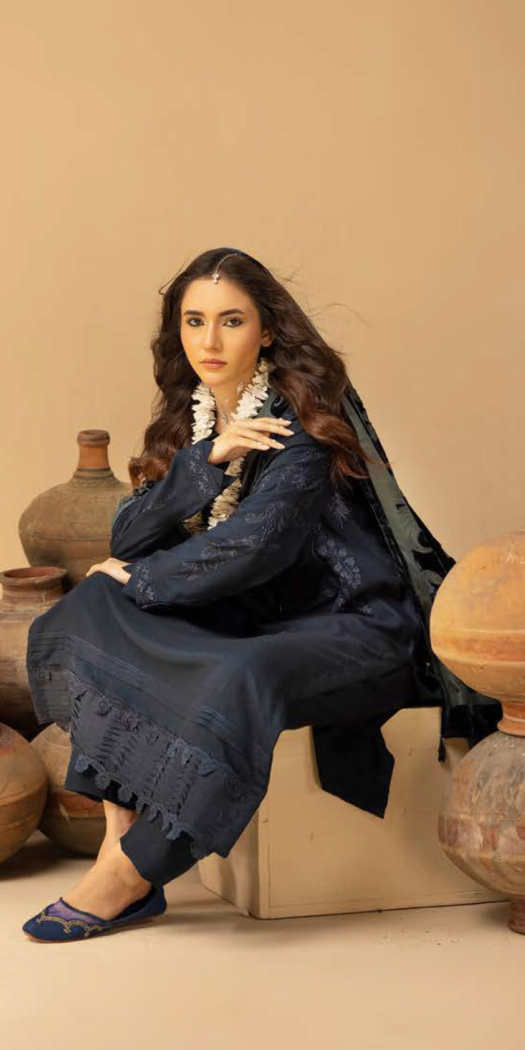 Riaz Arts | Dastaan Winter 25 | DS-22 -  Riaz Arts Ladies Clothes - Original Designer Dress - House of Maryam