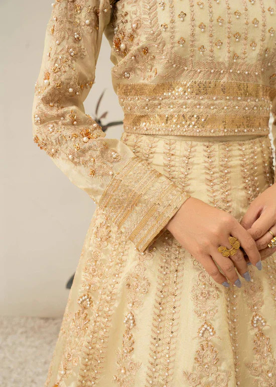 Daud Abbas | Shehnai Festive Formals 24 | Jahan -  Daud Abbas Formal - Original Designer Dress - House of Maryam