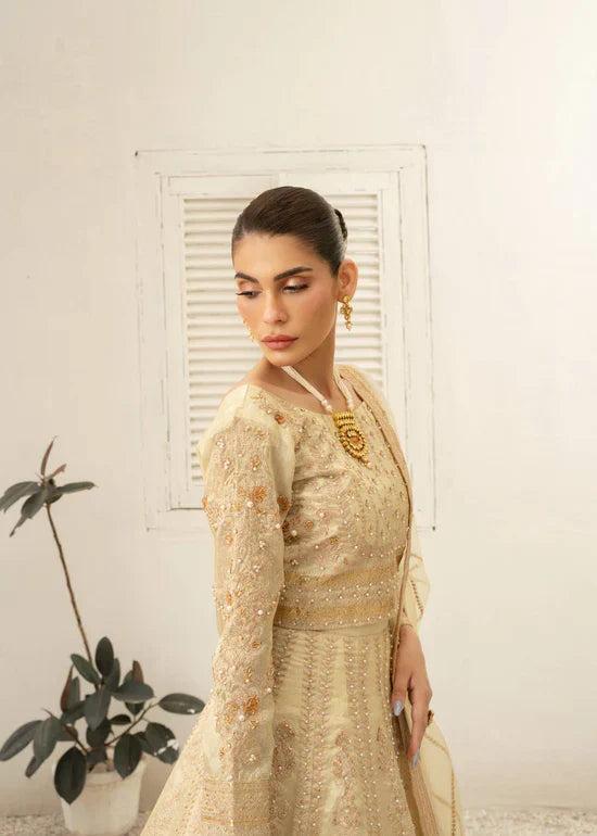 Daud Abbas | Shehnai Festive Formals 24 | Jahan -  Daud Abbas Formal - Original Designer Dress - House of Maryam
