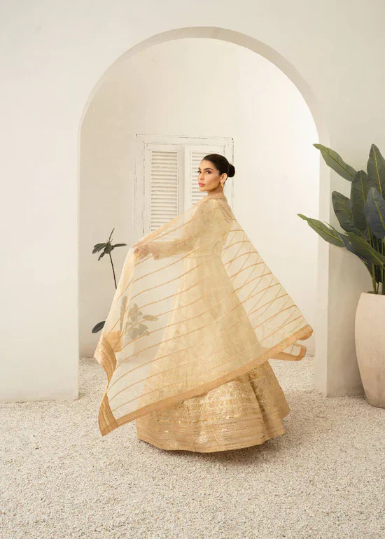 Daud Abbas | Shehnai Festive Formals 24 | Jahan -  Daud Abbas Formal - Original Designer Dress - House of Maryam
