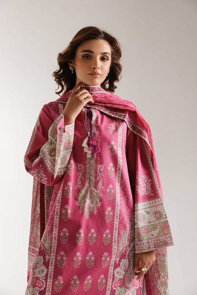 Ethnic | Spring Summer 25 | ES-14 -  Ethnic Ladies Clothes - Original Designer Dress - House of Maryam
