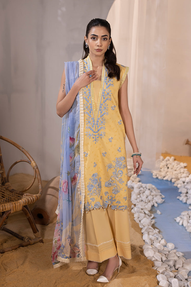 Ellena | Luxury Embroidered Collection| P-02 by Designer Ellena - House of Maryam - Pakistani Designer Ethnic Wear in {{ shop.shopifyCountryName }}