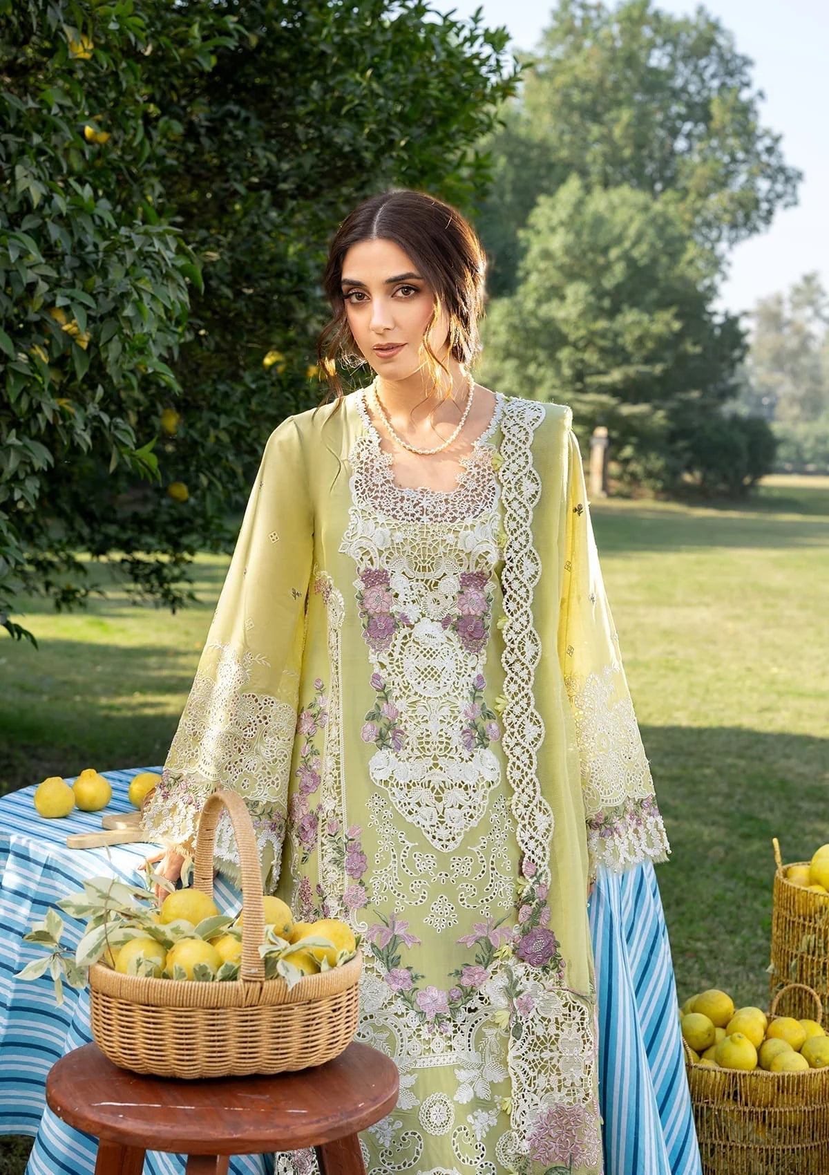 Elaf Premium | Luxury Lawn 26 | ELY-08 PISTACHIA-3