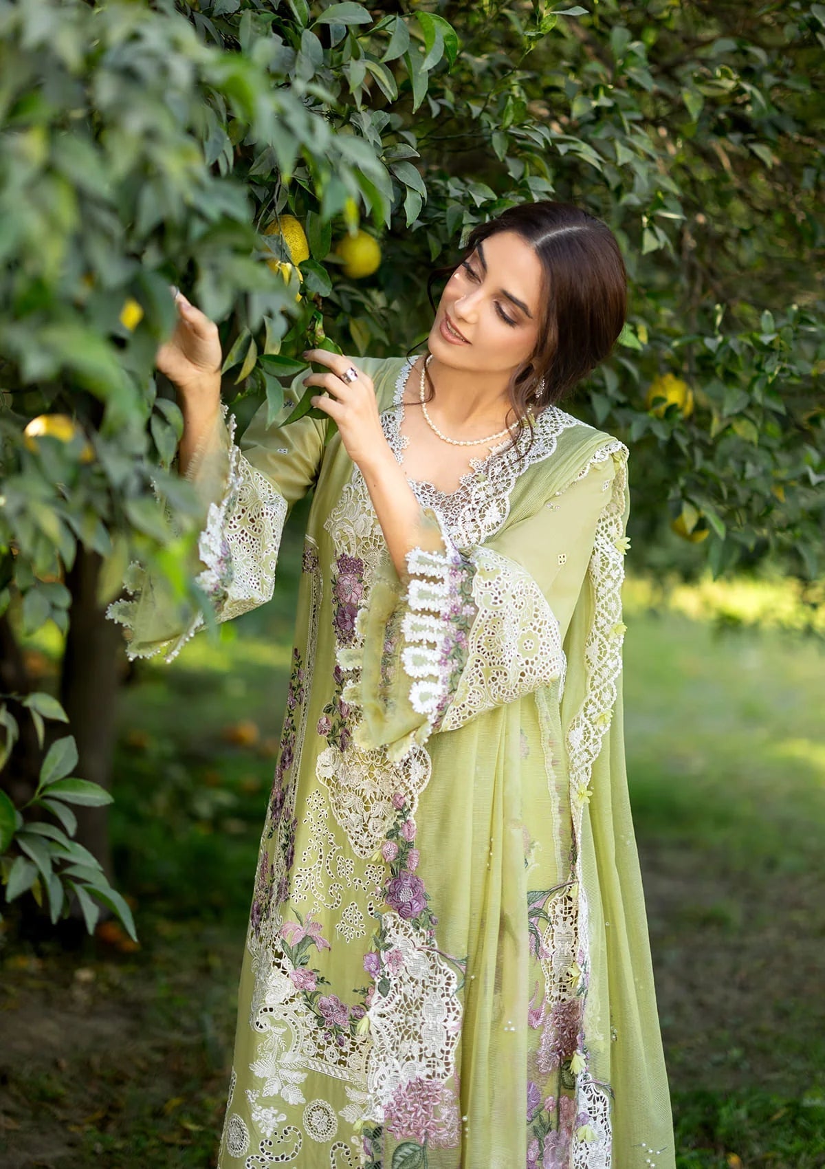 Elaf Premium | Luxury Lawn 26 | ELY-08 PISTACHIA-4