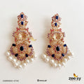 Women Earrings 0742