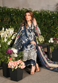 Elaf Premium | Winter Pashmina Shawl Collection | EPW-6B Moonlit Promises by Designer Elaf Premium - House of Maryam - Pakistani Designer Ethnic Wear in {{ shop.shopifyCountryName }}