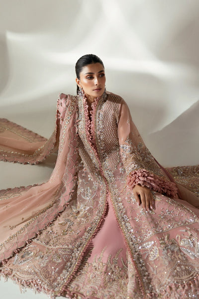 Elan | Wedding Festive 24 | CELESTIAL PETALS (EC24-07) -  Elan Ladies Clothes - Original Designer Dress - House of Maryam