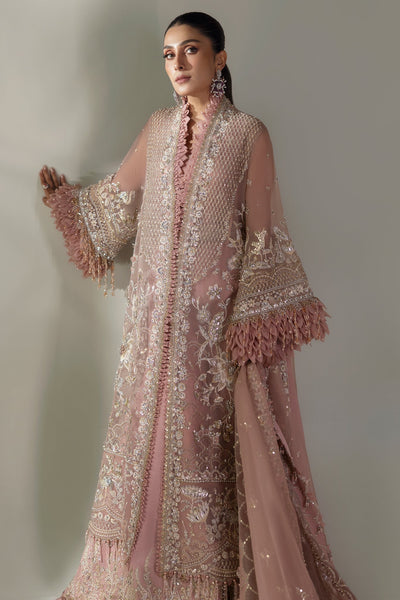 Elan | Wedding Festive 24 | CELESTIAL PETALS (EC24-07) -  Elan Ladies Clothes - Original Designer Dress - House of Maryam