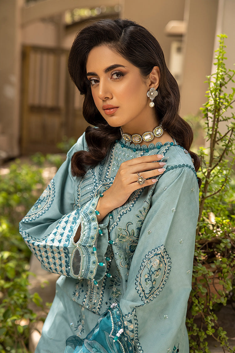 Ellena | Luxury Embroidered Collection | D25 by Ellena - House of Maryam