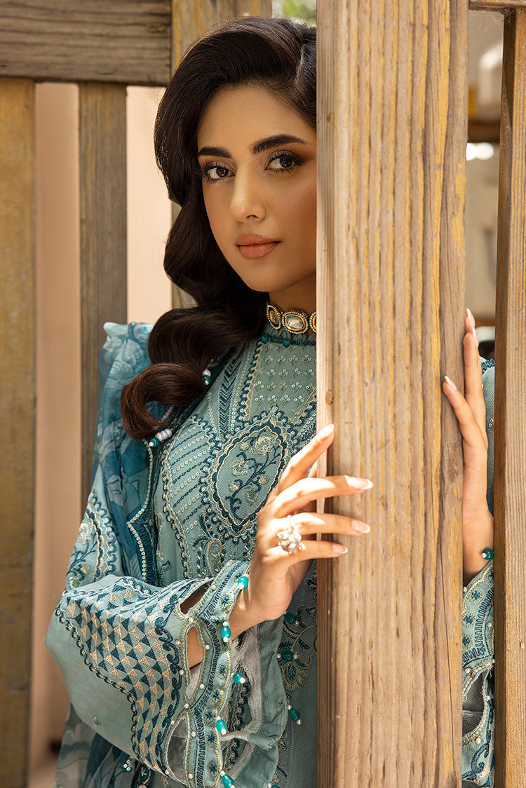 Ellena | Luxury Embroidered Collection | D25 by Ellena - House of Maryam