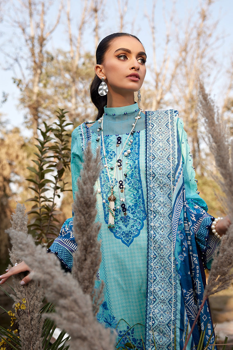 Ellena | Luxury Embroidered Collection | D24 by Ellena - House of Maryam