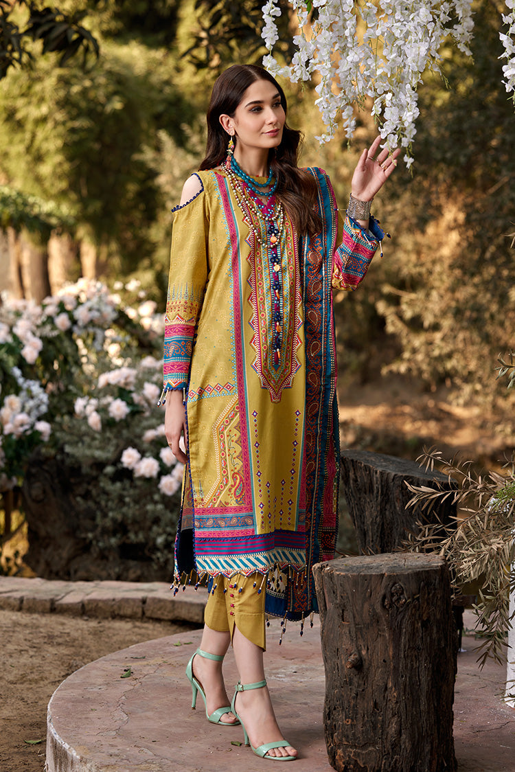 Ellena | Luxury Embroidered Collection | D05 by Designer Ellena - House of Maryam - Pakistani Designer Ethnic Wear in {{ shop.shopifyCountryName }}