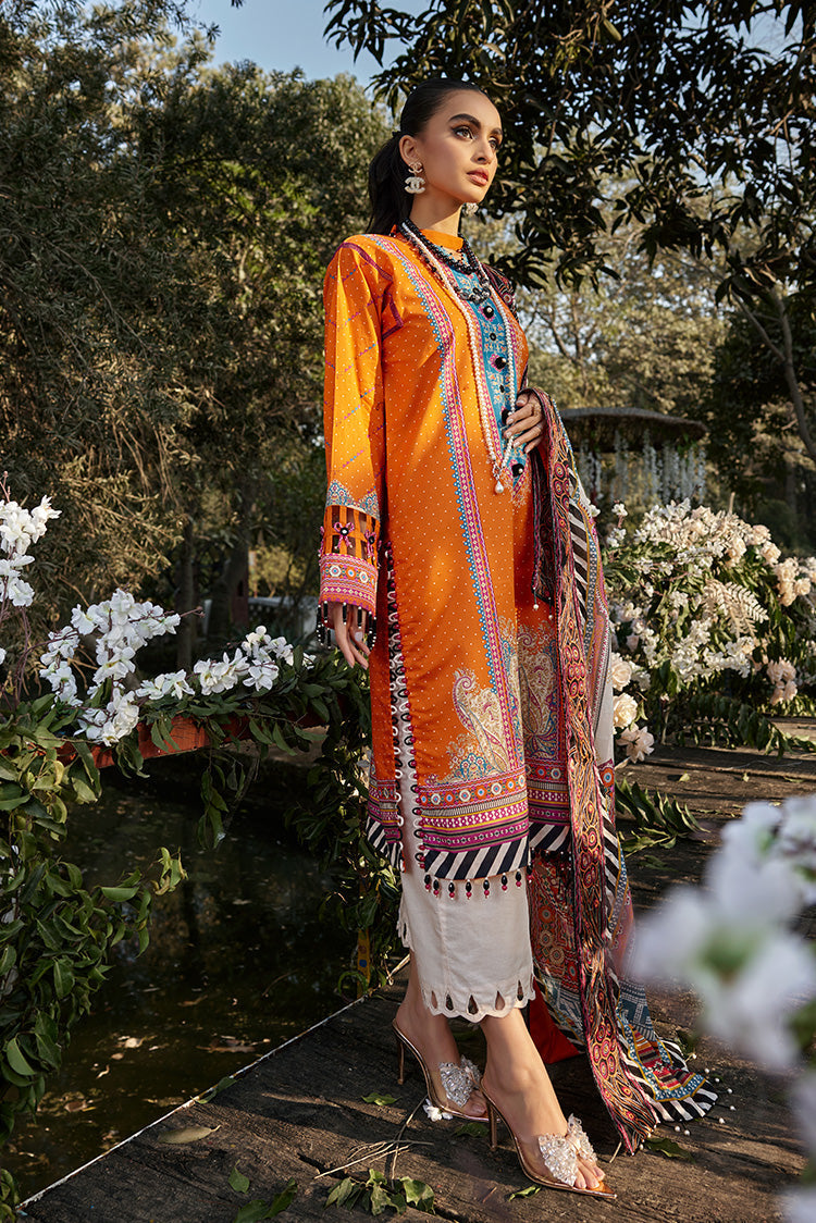 Ellena | Luxury Embroidered Collection | D13 by Ellena - House of Maryam