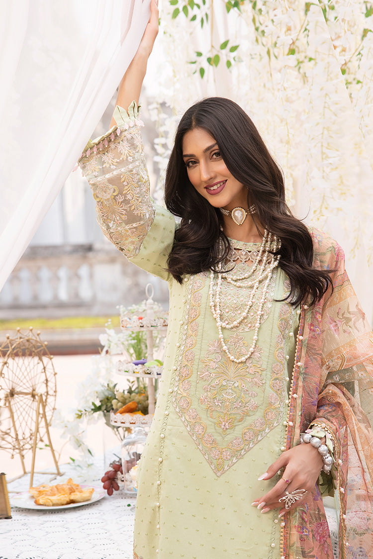 Ellena | Luxury Embroidered Collection | D21 by Ellena - House of Maryam