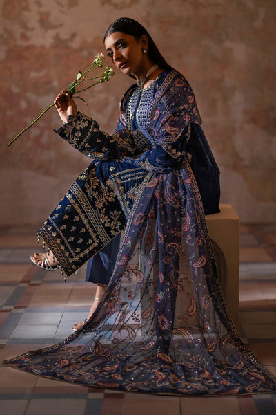 Emaan Adeel | Saanjh Velvet Collection 24 | Roshni -  Emaan Adeel Ladies Clothes - Original Designer Dress - House of Maryam