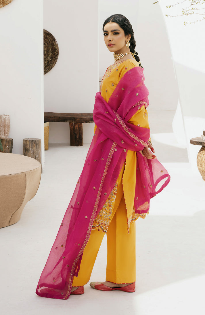 Emaan Adeel | Gul Mohr Eid Pret | WASHMA -  Emaan Adeel Luxury - Original Designer Dress - House of Maryam