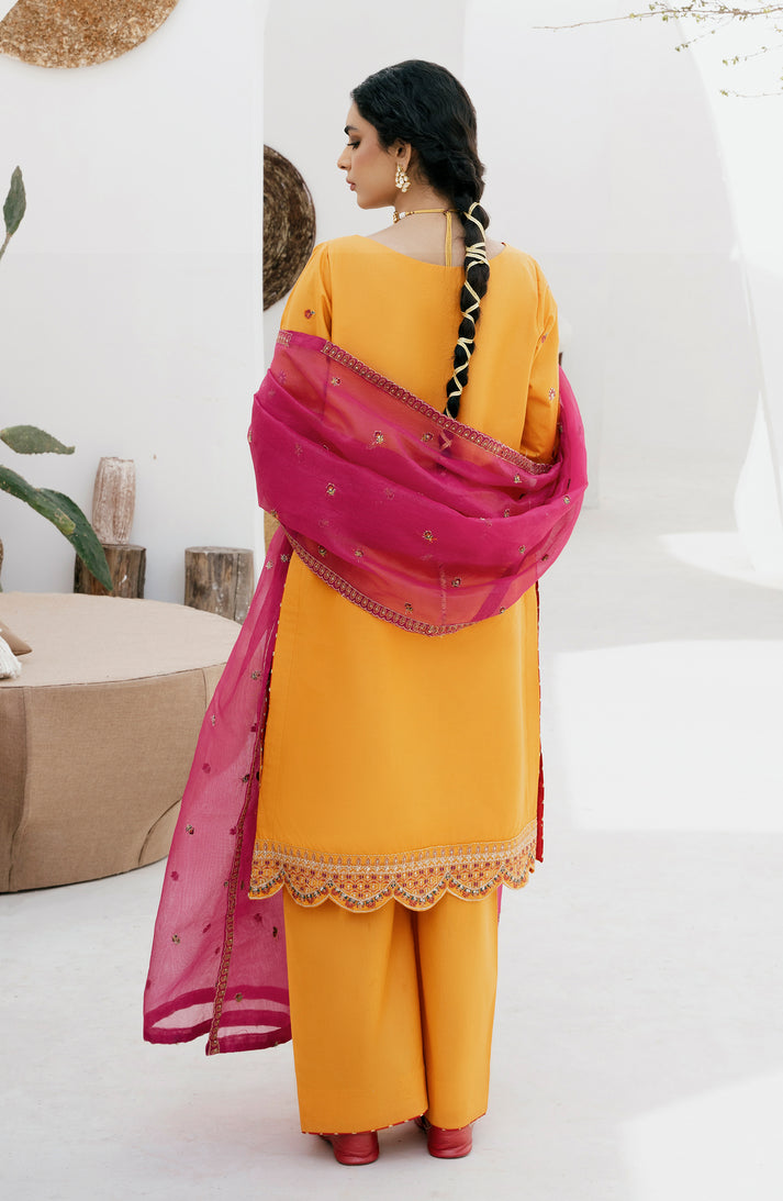 Emaan Adeel | Gul Mohr Eid Pret | WASHMA -  Emaan Adeel Luxury - Original Designer Dress - House of Maryam