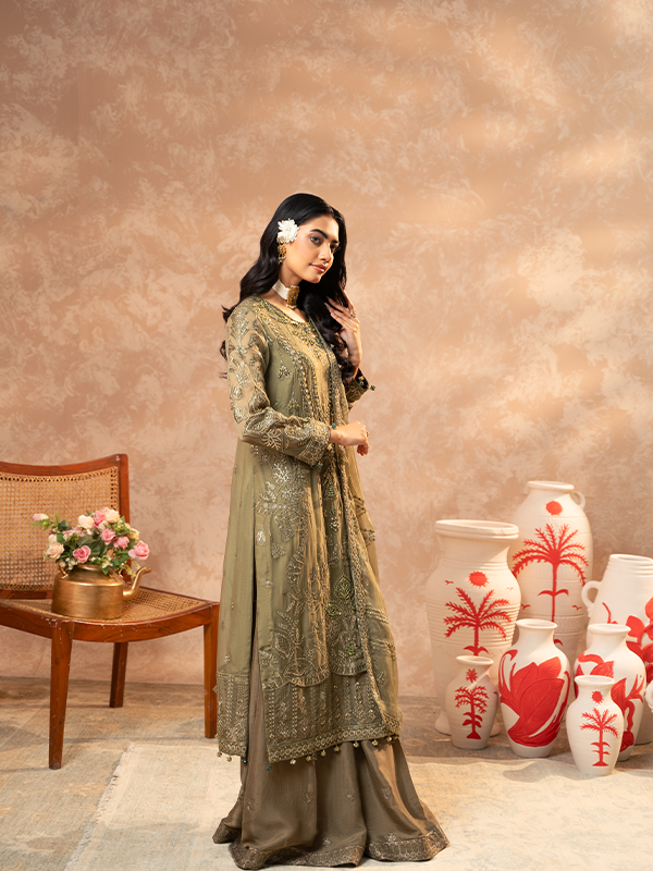 Zebtan | Zeenat Festive Collection | ZN-04 by Zebtan - House of Maryam