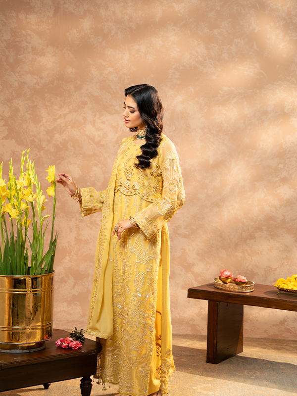 Zebtan | Zeenat Festive Collection | ZN-01 by Zebtan - House of Maryam