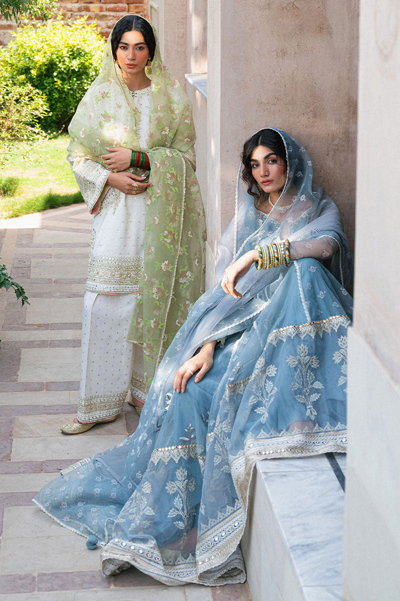 MNR | Din Ma Khwab 24 | Justaju -  MNR  - Original Designer Dress - House of Maryam