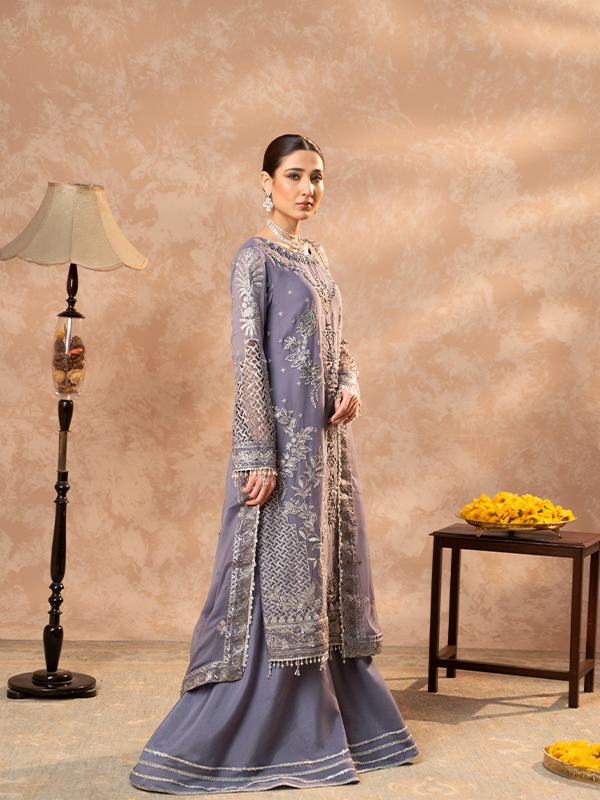 Zebtan | Zeenat Festive Collection | ZN-08 by Zebtan - House of Maryam