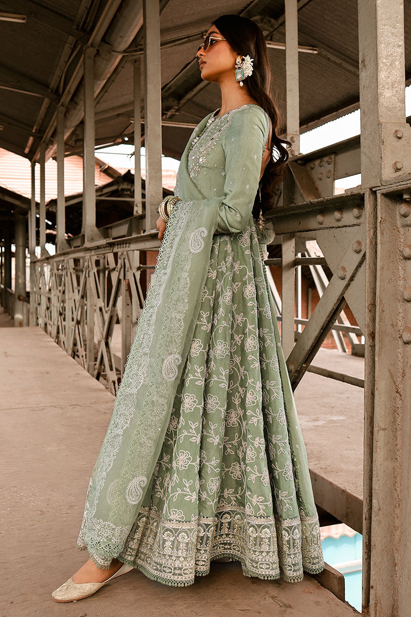 MNR | Festive Pret 24' | Rahat