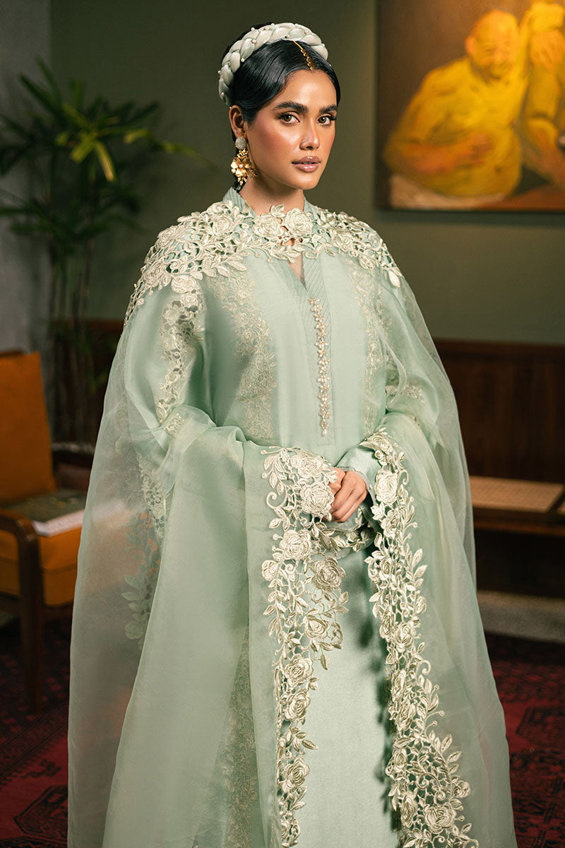 MNR | Chaye Coffee Luxury Pret | Star Gazer -  MNR Chaye Coffee; Luxury Pret - Original Designer Dress - House of Maryam