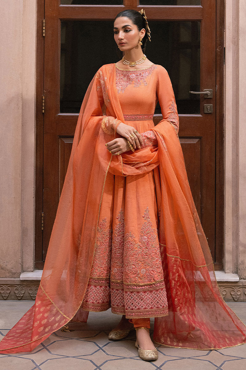 MNR | Din Ma Khwab 24' | Umang -  MNR  - Original Designer Dress - House of Maryam