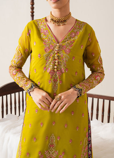 Maryum N Maria | Zaib Luxury |  Embroirdered Chiffon REINE - FS50134 -  Maryum N Maria Ladies Clothes - Original Designer Dress - House of Maryam