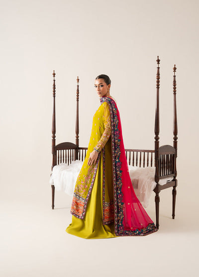 Maryum N Maria | Zaib Luxury |  Embroirdered Chiffon REINE - FS50134 -  Maryum N Maria Ladies Clothes - Original Designer Dress - House of Maryam
