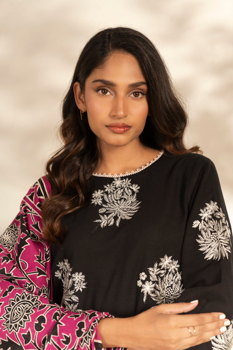 Al Karam  Winter 25  FW-101-25-1-Black -  Al Karam Ladies Clothes - Original Designer Dress - House of Maryam