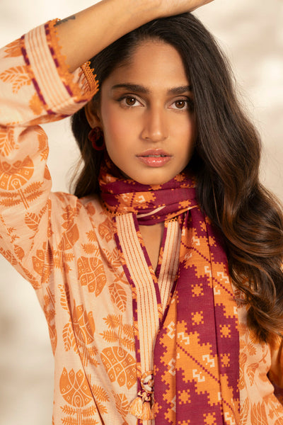 Al Karam | Winter 25 |  FW-127-25-1-Beige -  Al Karam Ladies Clothes - Original Designer Dress - House of Maryam