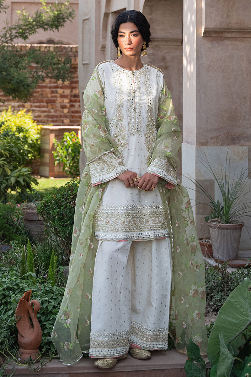 MNR | Din Ma Khwab 24' | Umeed -  MNR  - Original Designer Dress - House of Maryam