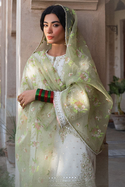 MNR | Din Ma Khwab 24' | Umeed -  MNR  - Original Designer Dress - House of Maryam