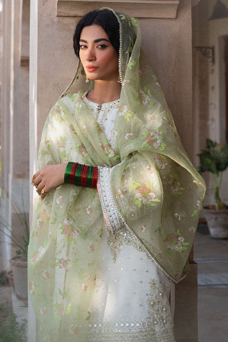 MNR | Din Ma Khwab 24' | Umeed -  MNR  - Original Designer Dress - House of Maryam